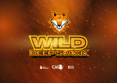 Wild Deep Stack
